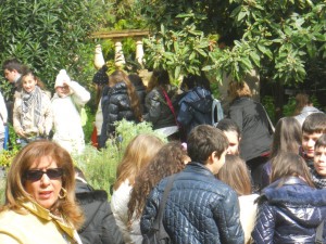 Orto Botanico 2011 - DSCN1035