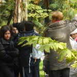 Orto Botanico 2011 - DSCN1041